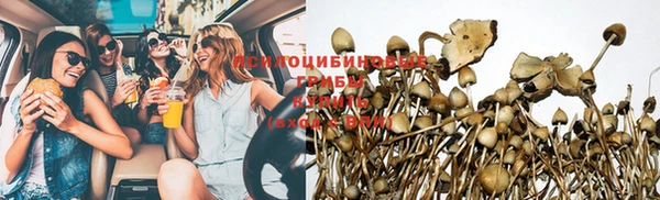 мдпв Армянск